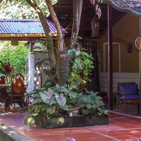 Mi Refugio Tayrona Hotel Santa Marta  Exterior photo